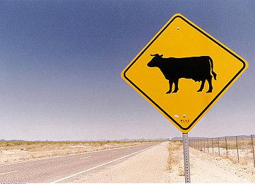 小老鼠挥大锤 《莫斯2》公开12分钟试玩视频